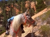 bryce-day-2-042-small