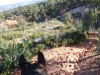 mtcarmel_day2_003