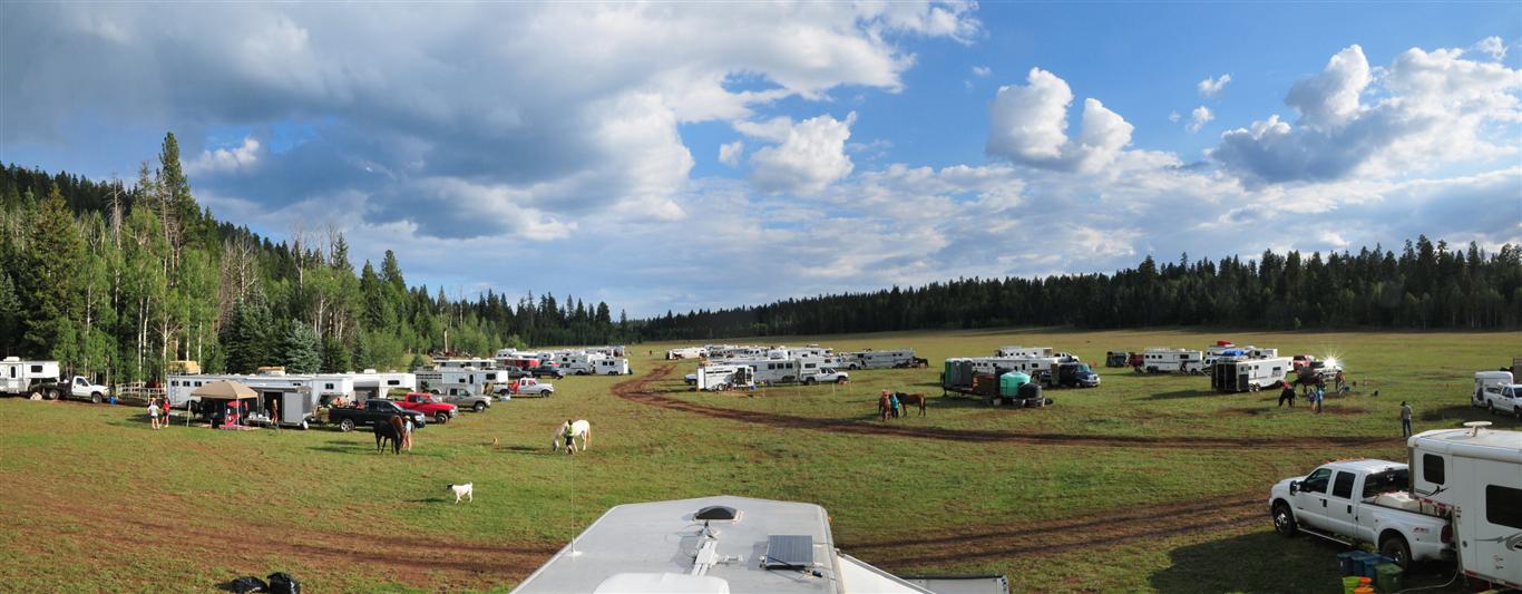 GC Camp (Medium)